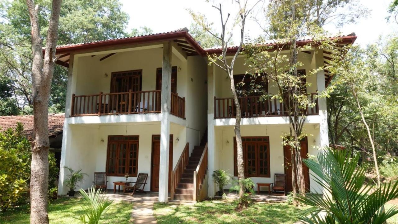 Isanka Lion Lodge Сигирия Экстерьер фото