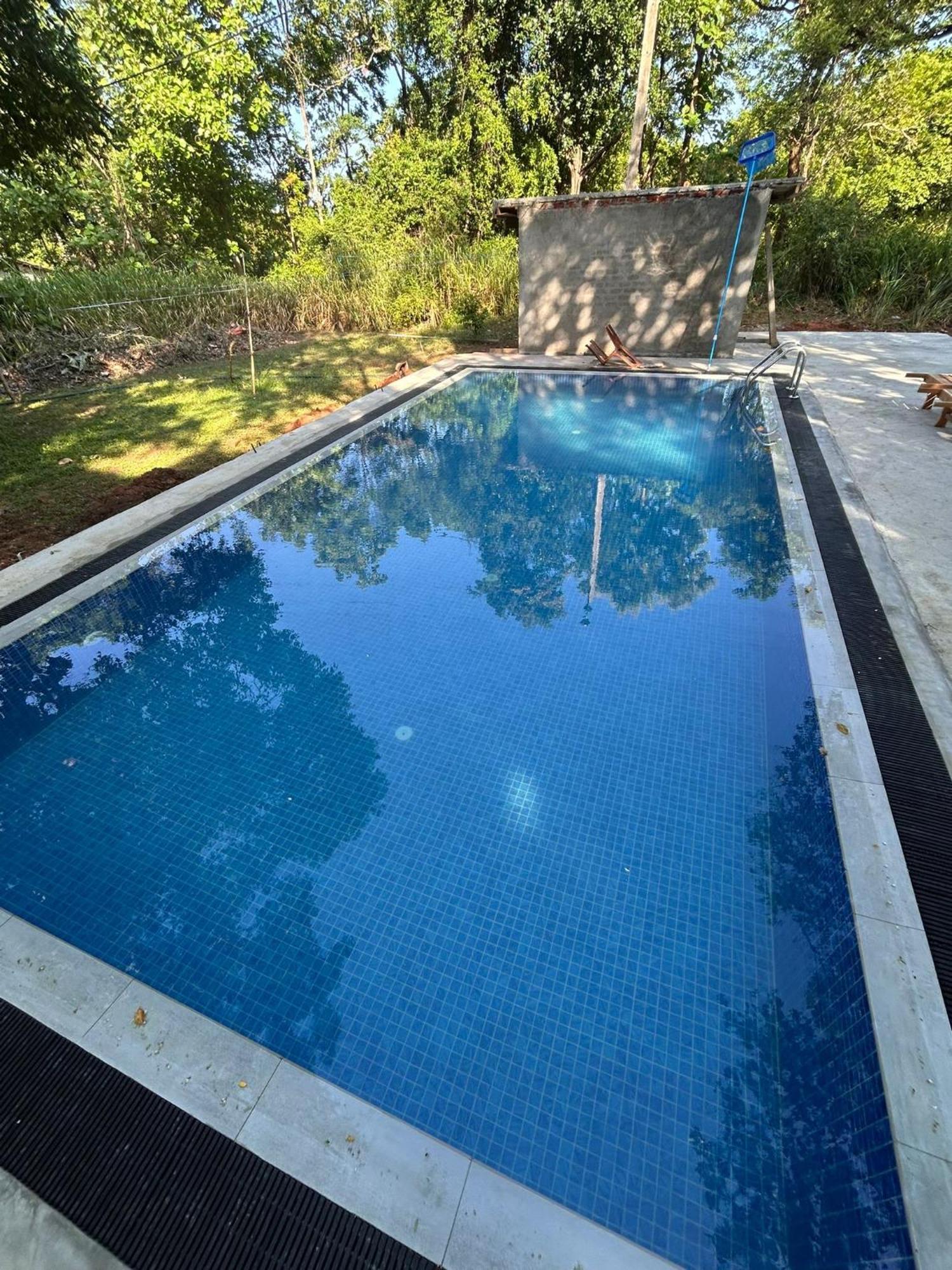 Isanka Lion Lodge Сигирия Экстерьер фото