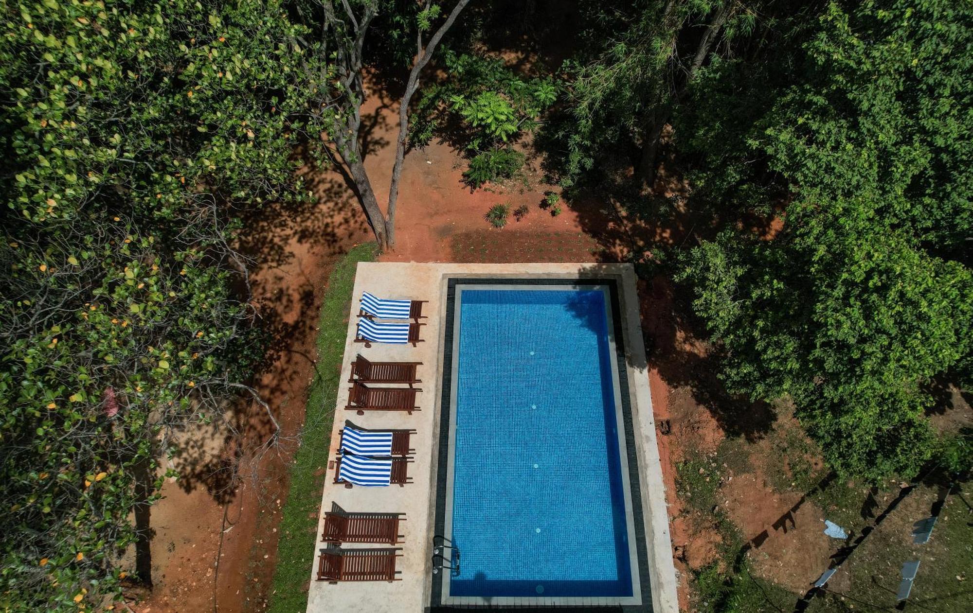 Isanka Lion Lodge Сигирия Экстерьер фото