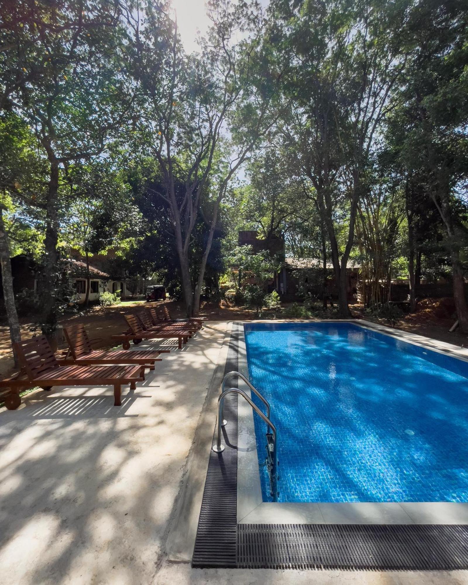 Isanka Lion Lodge Сигирия Экстерьер фото
