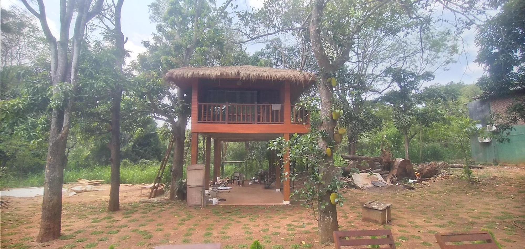 Isanka Lion Lodge Сигирия Экстерьер фото