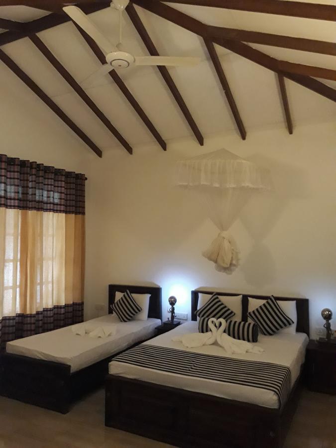 Isanka Lion Lodge Сигирия Экстерьер фото
